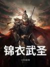锦衣武圣